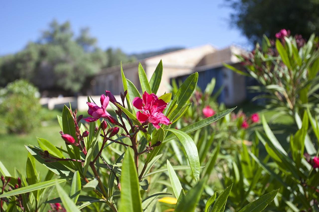 Agroturismo Finca Dalt Murada Binissalem Exterior photo